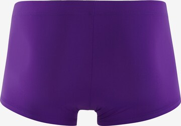 Boxers Olaf Benz en violet