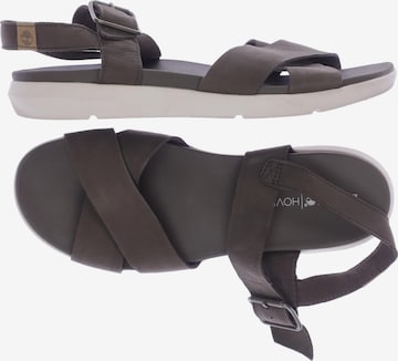 TIMBERLAND Sandalen 41,5 in Grün: predná strana