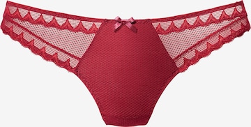 s.Oliver Panty in Red: front