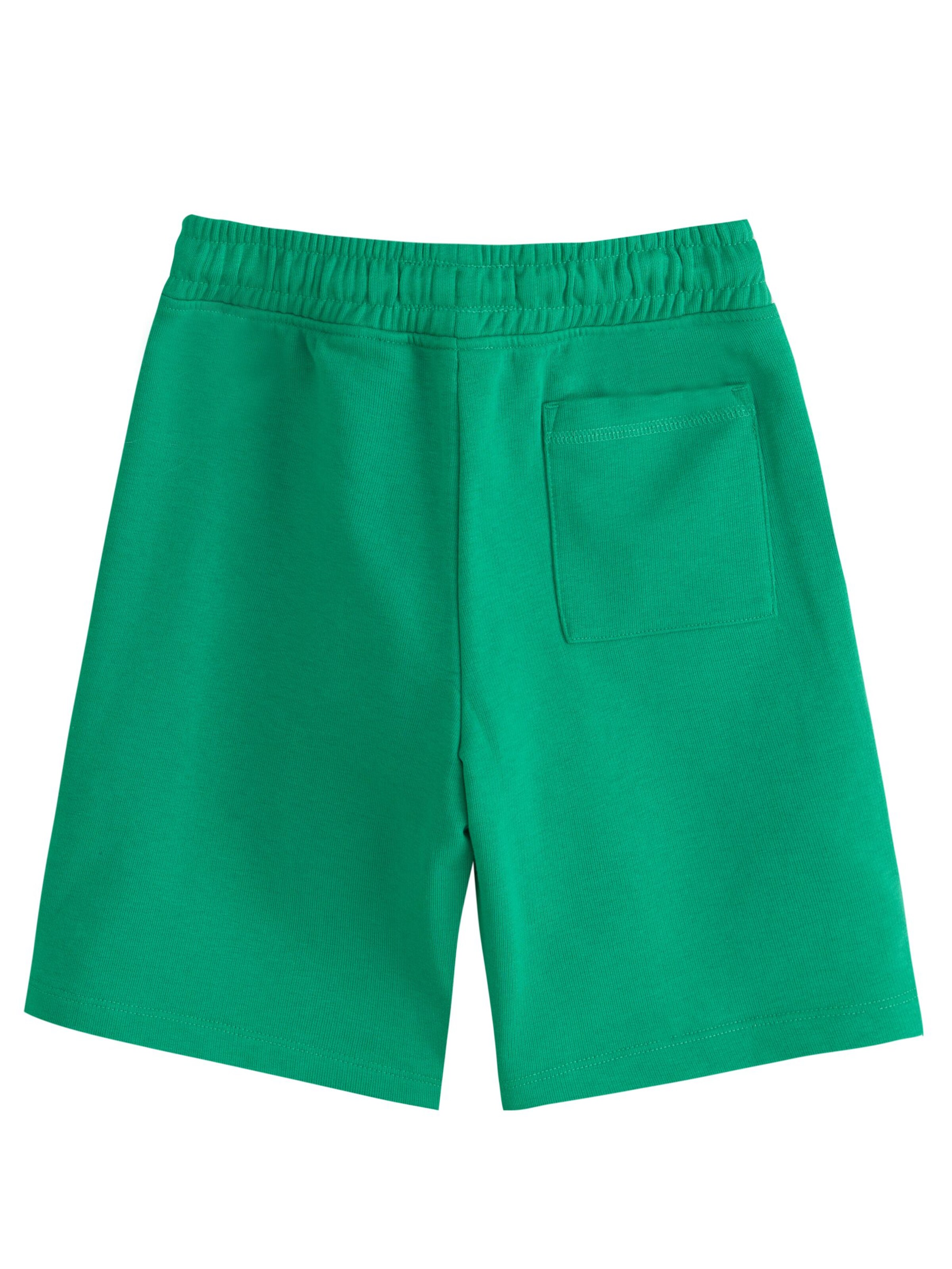 Regular Pantalon Next en vert