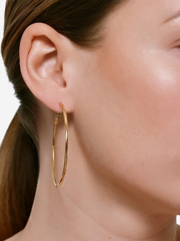 Heideman Ohrringe in Gold