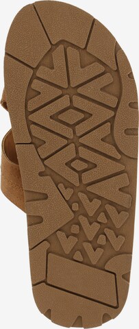 Gaastra Mules 'Gray CVS' in Brown