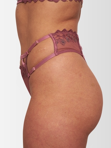 DOUVOS CONTOUR String in Gold