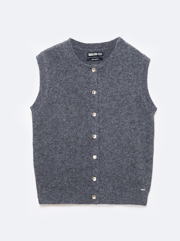 BIG STAR Sweater 'Vesta' in Grey