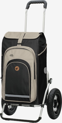 Valisette 'Royal Hydro 2.0 ' Andersen Shopper en beige : devant