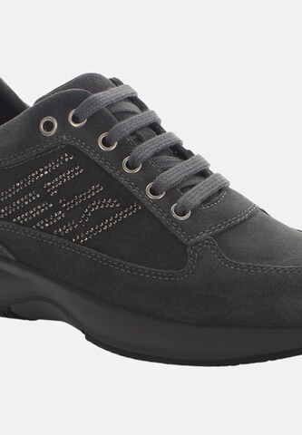 Baskets basses Lumberjack en gris
