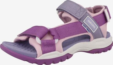 GEOX Sandals ' J Borealis G. A ' in Purple: front