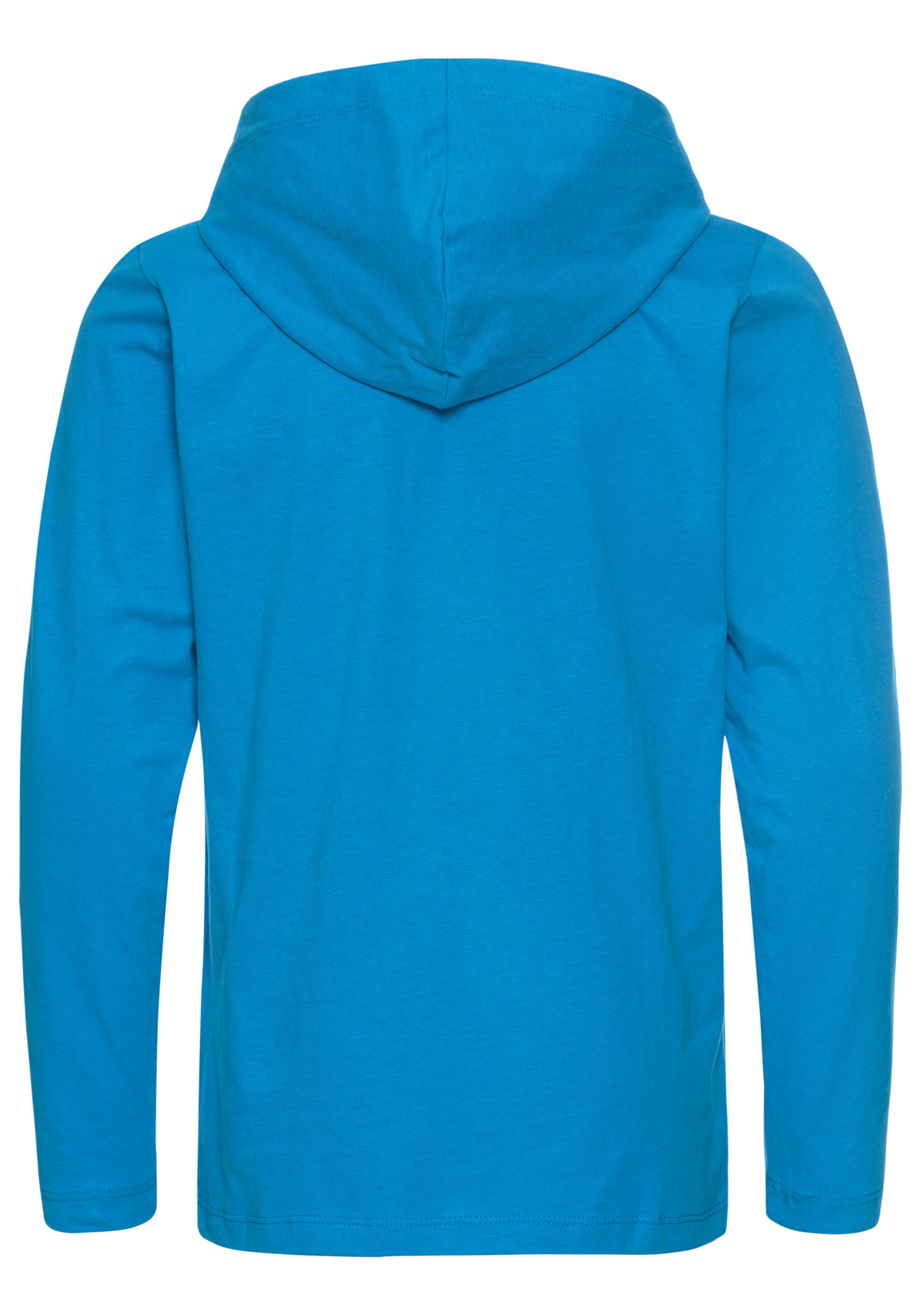 DELMAO Sweatshirt in Blue