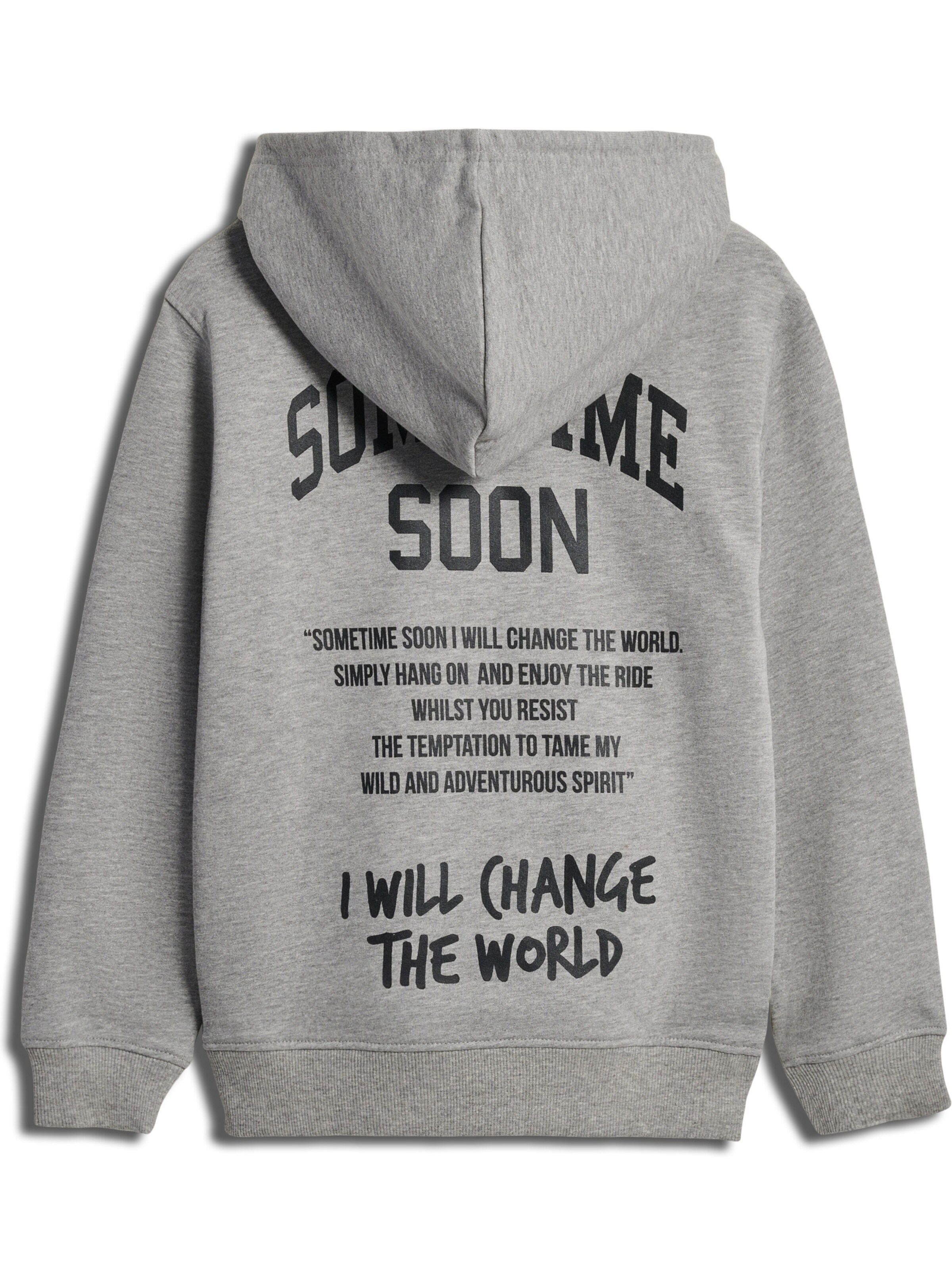 SOMETIME SOON Sweatshirt 'Dimas' in Grijs