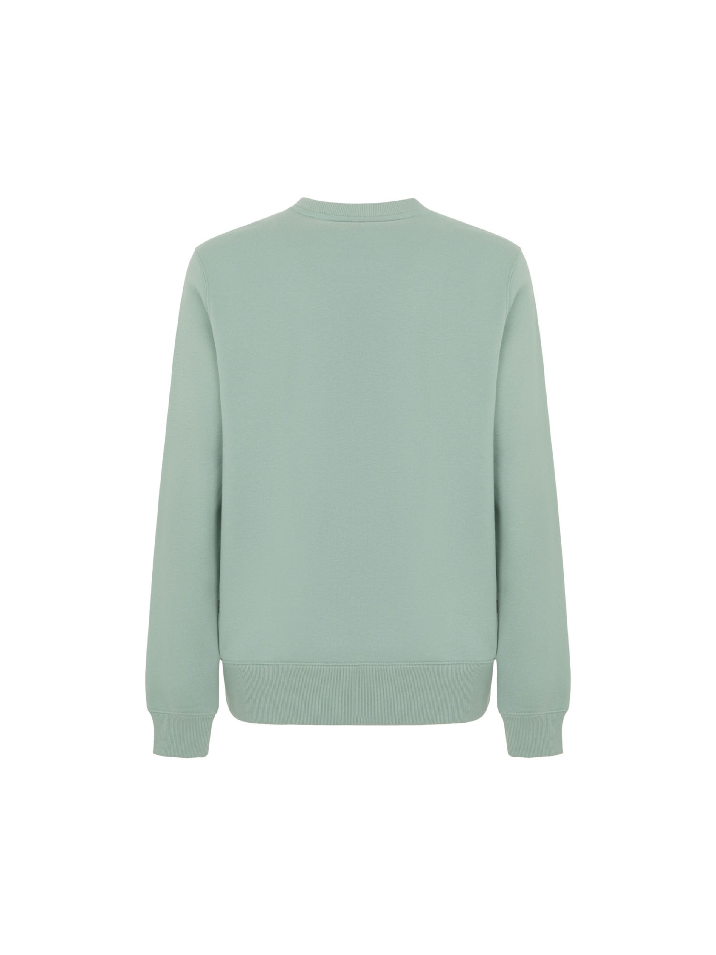 DICKIES Sweatshirt 'OAKPORT' i grön