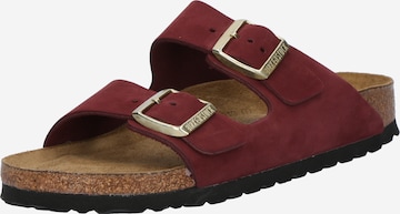 raudona BIRKENSTOCK Šlepetės 'Arizona': priekis