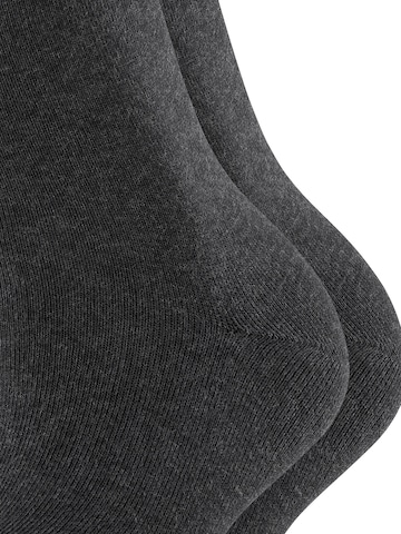 ESPRIT Socks 'Uni 2-Pack' in Grey