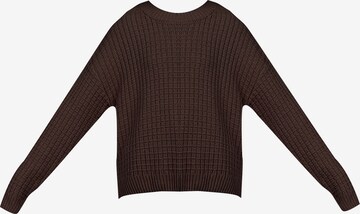 myMo NOW Sweater in Brown: front