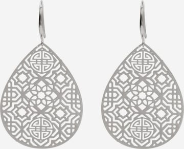 Gemshine Earrings in Silver: front