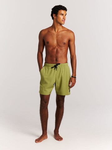 PROTEST Swimming shorts 'PRTAdonia' in Green