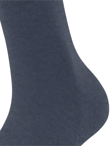 FALKE Socks 'Family' in Blue: front