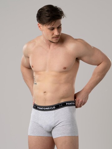 PANTONECLO Boksershorts 'Pantoneclo Men’s Boxer Underwear' i beige