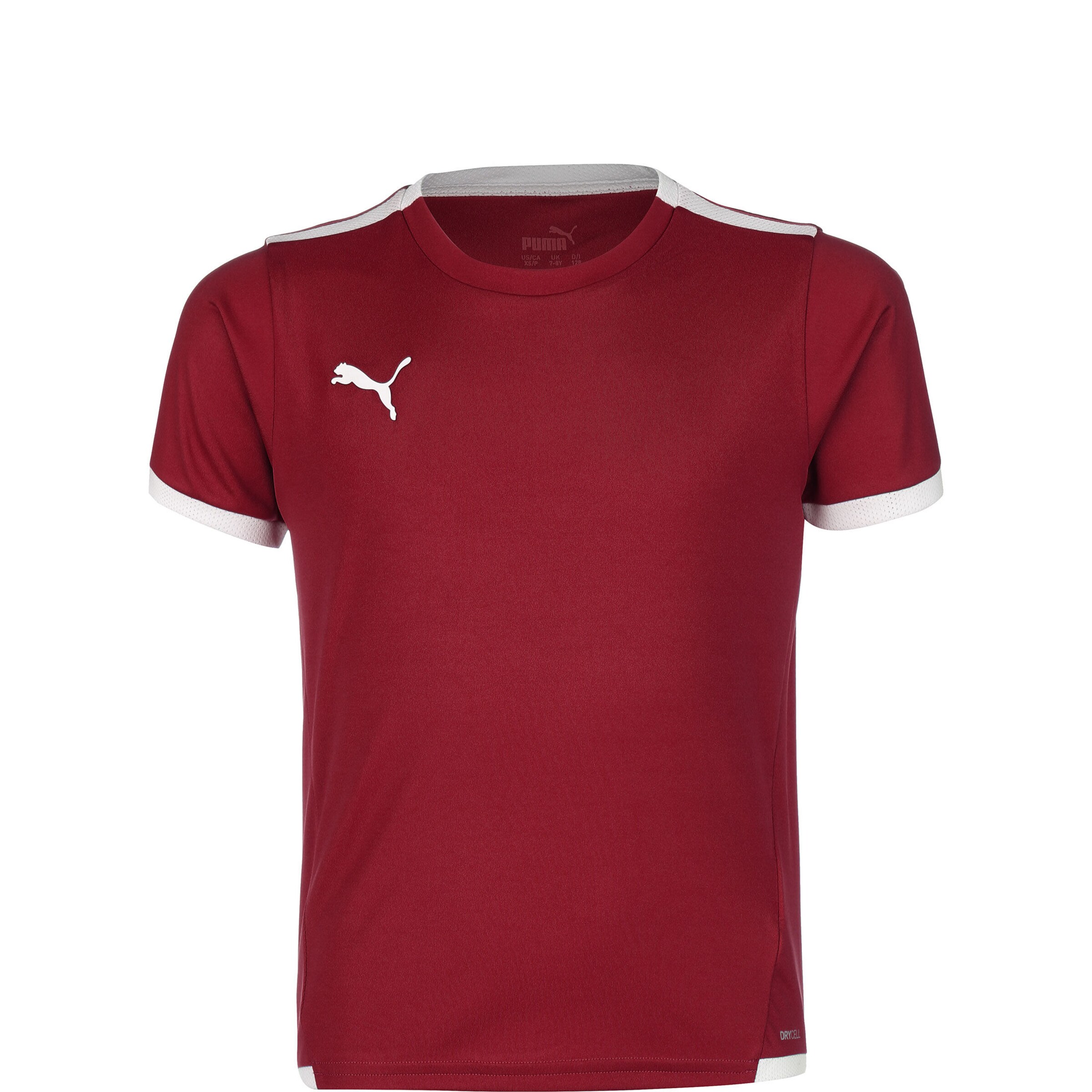 PUMA Performance Shirt 'TeamLiga' in Red: front