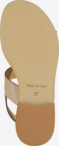 SCAPA Sandals in Beige