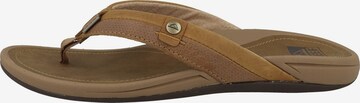 REEF Beach & Pool Shoes 'Pacific' in Brown