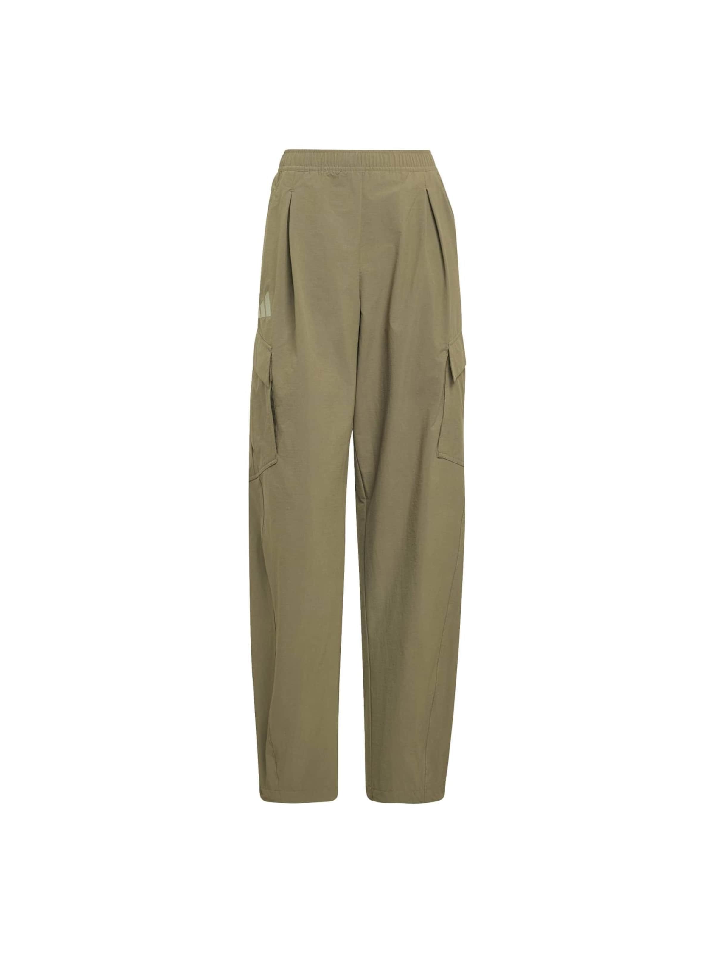 zaļš ADIDAS TERREX Standarta Āra bikses: no priekšpuses