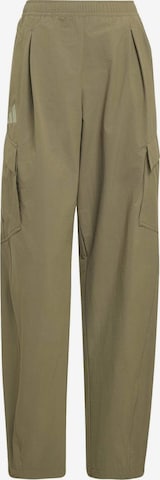 ADIDAS TERREXregular Hlače za vanjske uvjete - zelena boja: prednji dio