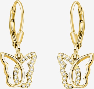 Sofia Milani Ohrringe in Gold: Vorderseite