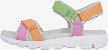 Rieker EVOLUTION Sandals in Mixed colors