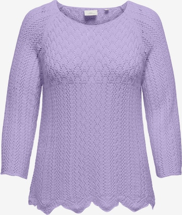 ONLY Carmakoma Pullover 'CARNola' i lilla: forside