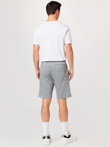 JBS OF DENMARK Regular Pants in Grey