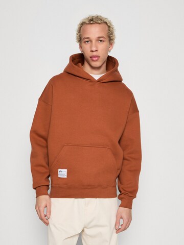 ALPHA INDUSTRIES Sweatshirt i brun