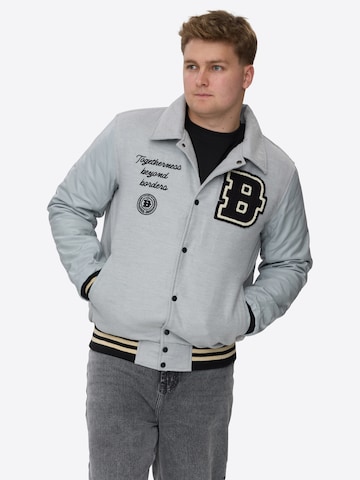 Dxnmxrk Winterjacke 'DXGeert' in Grau: Vorderseite