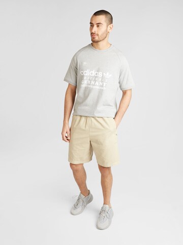 ADIDAS ORIGINALS Bluser & t-shirts i grå