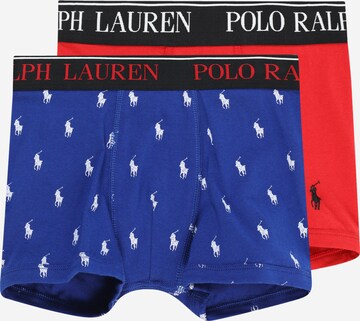 Polo Ralph Lauren Трусы в Синий: спереди