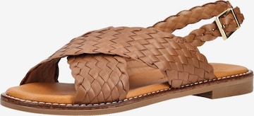 Oh! My Sandals Sandale in Braun: Vorderseite
