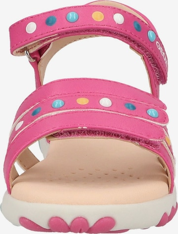 GEOX Sandalen in Pink