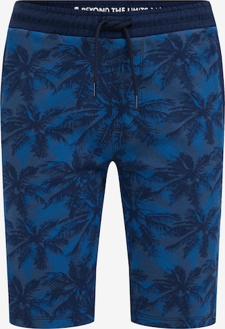 WE Fashion Trousers in Blue: front
