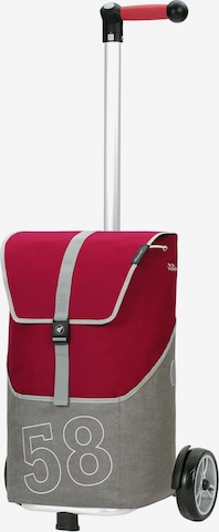 Trolley 'Filip' di Andersen Shopper in rosso: frontale