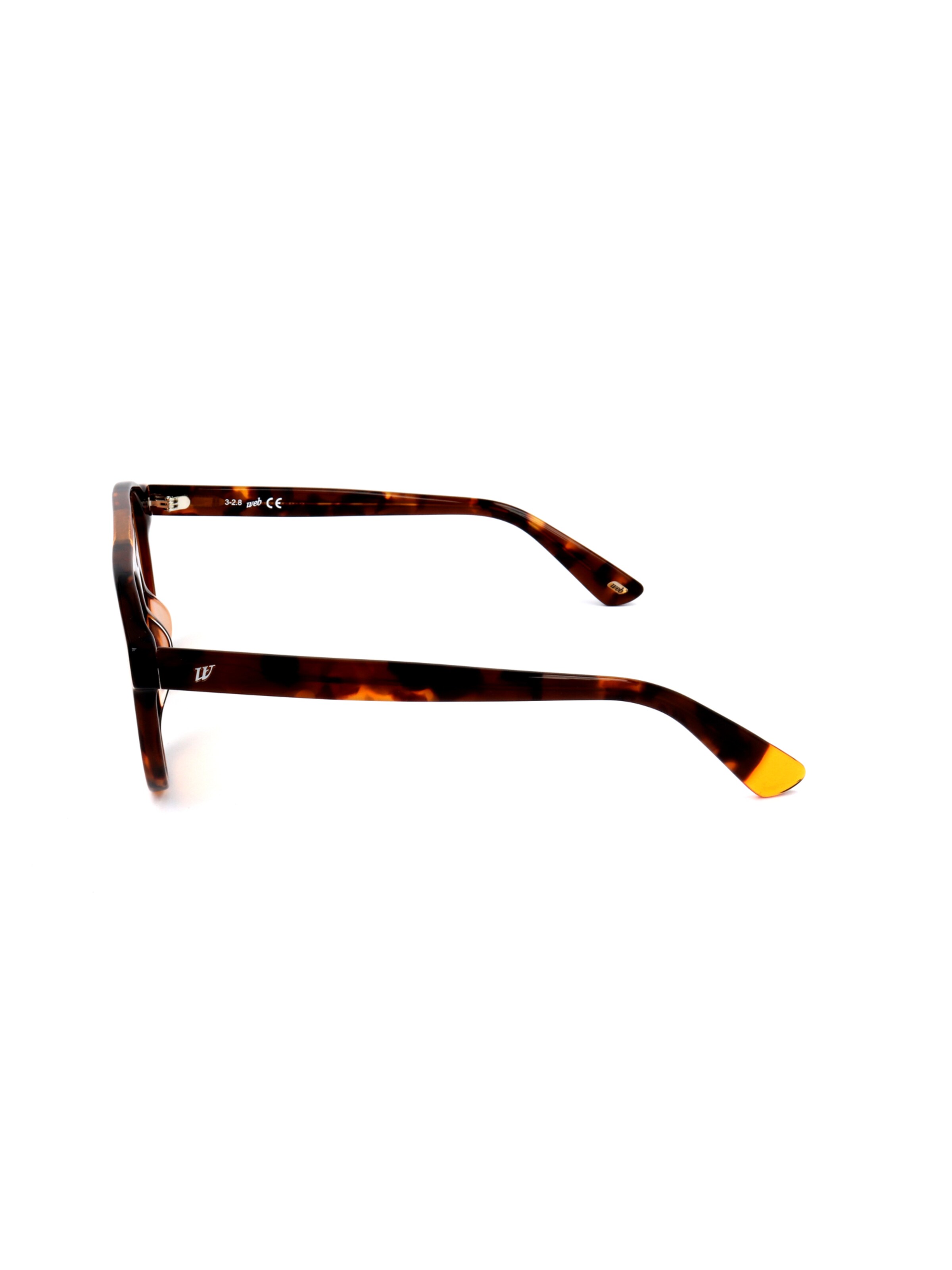 Occhiali da sole 'WE0262' di Web Eyewear in marrone