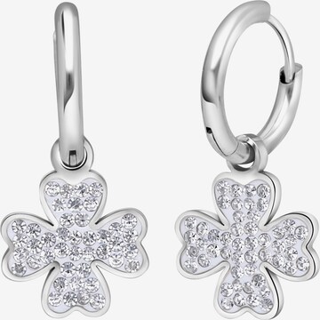 Boucles d'oreilles Lucardi en argent : devant