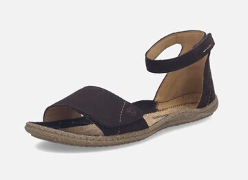 JOSEF SEIBEL Sandal in Brown