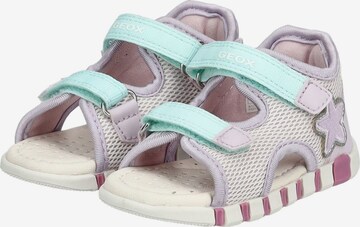 GEOX Sandalen in Lila