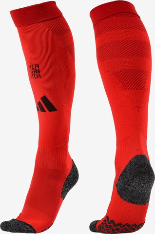 ADIDAS PERFORMANCE Soccer Socks 'FC Bayern München' in Red: front