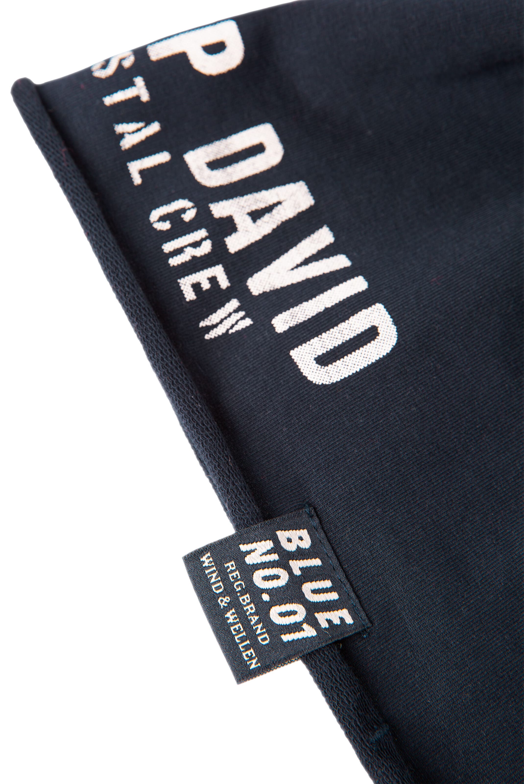 CAMP DAVID Beanie in Blue