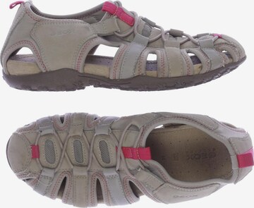 GEOX Sandals & High-Heeled Sandals in 36 in Beige: front