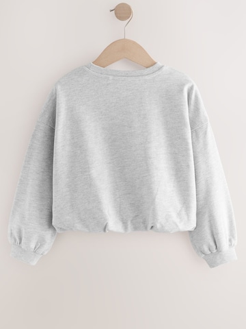 Next Sweatshirt in Grey