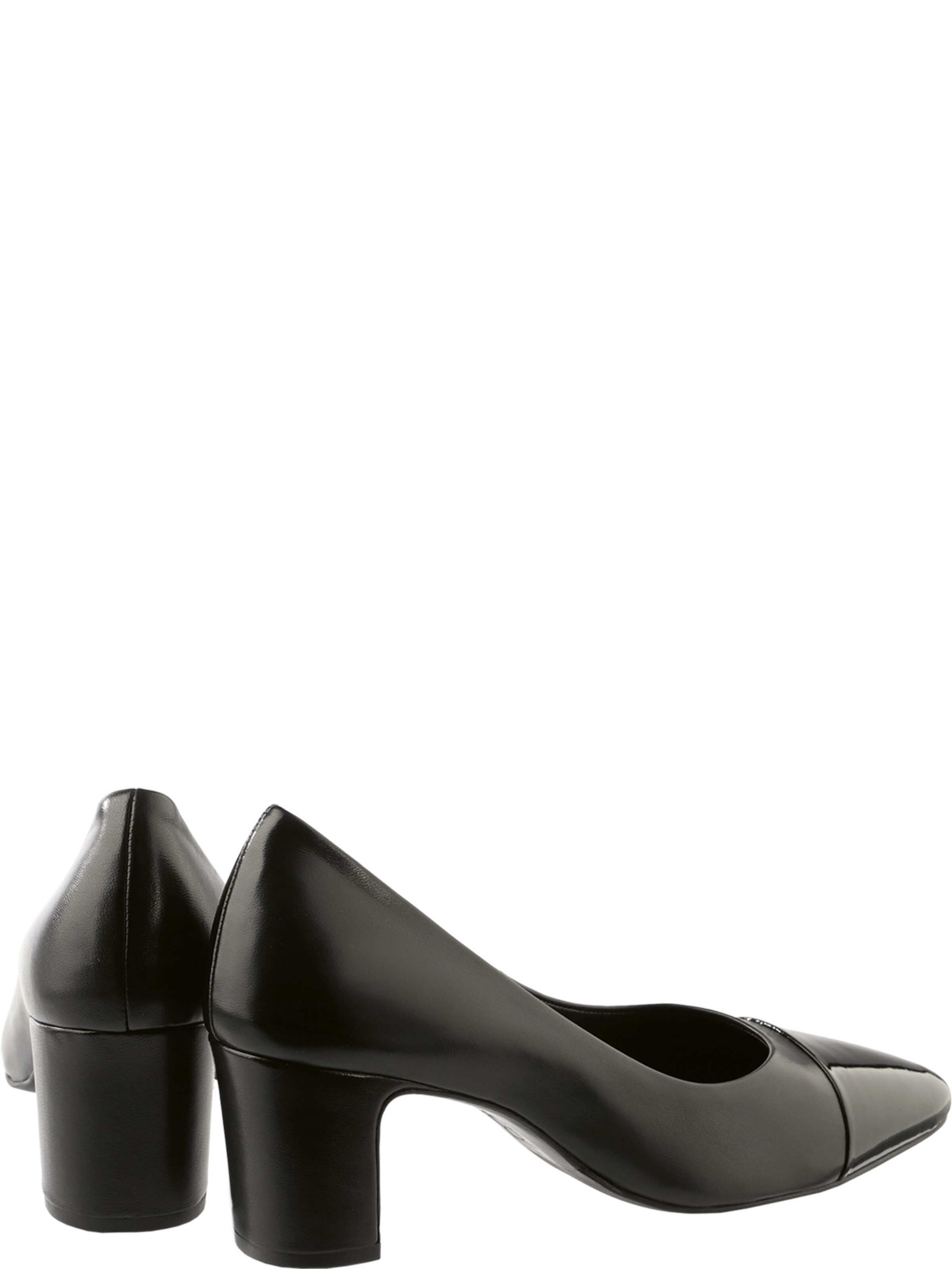 Högl Pumps ' MELODY ' in Zwart