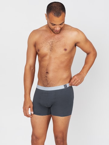 Erlich Textil Boxershorts 'Gustav' in Grau