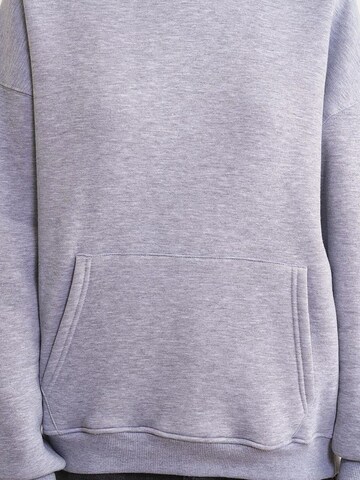 MixRay Sweatshirt in Grau
