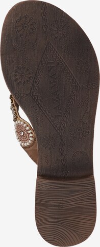 LAZAMANI T-Bar Sandals in Brown